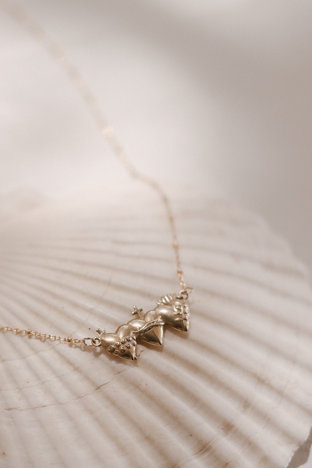Sacred Hearts of the Holy Family Necklace